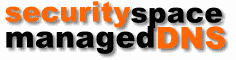 SecuritySpace DNS Vervaltung
